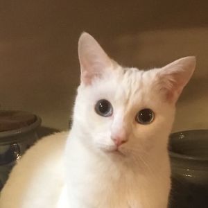 Meet your Posher, Annette